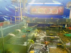 -明记海鲜大排档(巽寮湾店)