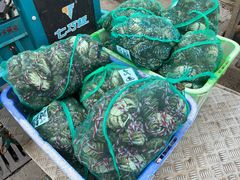 -众彩物流水产市场