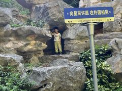 -朴园