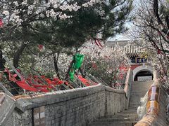 -妙峰山风景名胜区