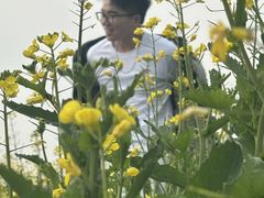 -中国天府农业博览园