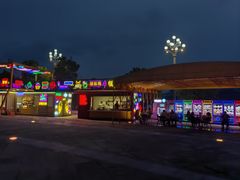 -重庆国际马戏城