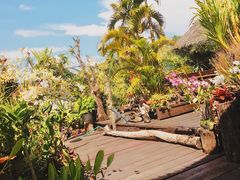 -自然餐厅(Phuket)