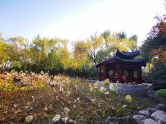 -莲湖公园