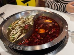 -重庆巴渝火锅(钟家村店)