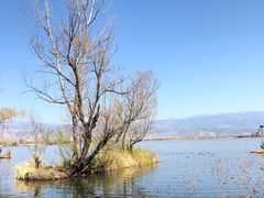 -西昌邛海湿地