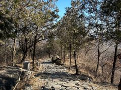 -阳台山自然风景区