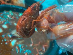 -七裕庄(凯旋南路店)