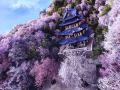-无锡融创乐园