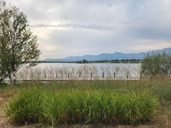 -野鸭湖国家湿地公园