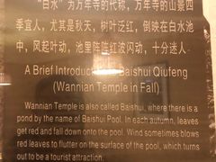 -大众跷脚牛肉馆·非遗传承单位(峨眉山店)