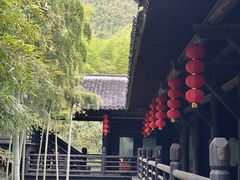 -大唐贡茶院