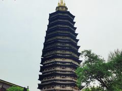 -红梅公园
