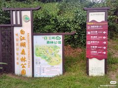 -广州白江湖森林公园