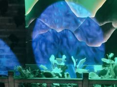 -韵秋荷(宝山龙湖天街店)