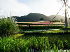 -径山花海