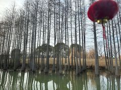 -苏州太湖国家湿地公园