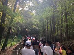 -灵岩山风景区