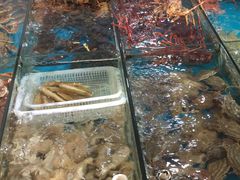 -七宝蔬菜农副产品综合交易市场-停车场