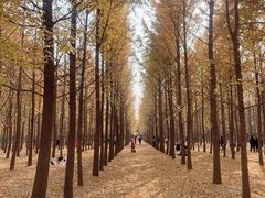 -汉景帝阳陵博物院