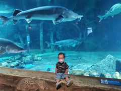 -华夏文旅西安度假区