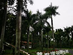 -深圳仙湖植物园