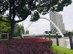 -陈家山荷花公园