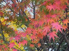 -杭州半山国家森林公园