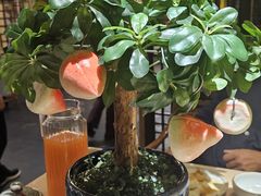 -云来居素食馆(南山店)