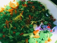 -时光码头民谣公社