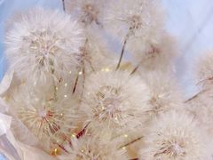 -ChaKo Flora ·茶子花艺 (市北店)