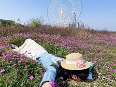 -南昌之星摩天轮