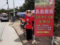-从化深英荔枝黄皮龙眼采摘园