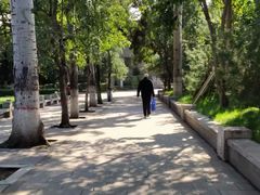 -莲湖公园