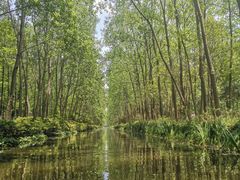 -合肥滨湖国家森林公园