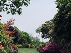 -桃花岛景观公园