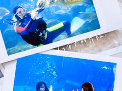 -左海海底世界