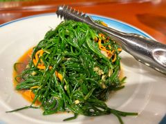 沙漠野沙葱-蒙古大营(朝阳公园店)