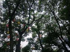-洈水景区