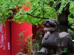 -成都武侯祠博物馆