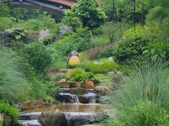 -云溪植物园