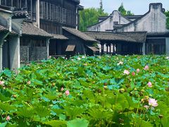 -乌镇望津里精品酒店