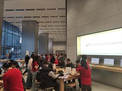 -Apple零售店(华贸购物中心店)