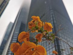 -blend咖啡部落(卓悦中心店)
