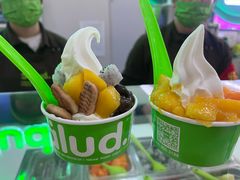 -Salud撒露欧洲冻酸奶(五道口购物中心店)