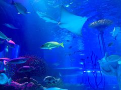 -沈阳海洋探索中心