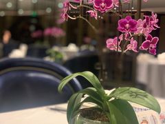 -Yan Ting 宴庭中餐厅(上海静安瑞吉酒店)