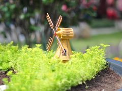 -深圳市中科院仙湖植物园