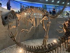 -国家自然博物馆