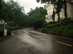 -上海市保健医疗中心(华东疗养院)